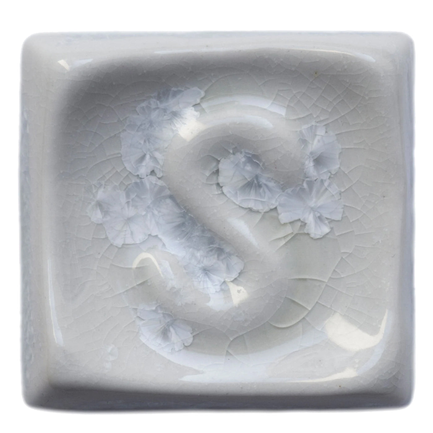 Snow Drop SP 1570