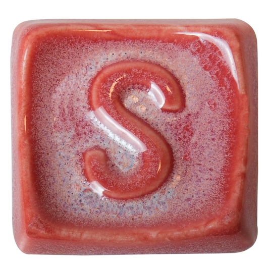 Hibiscus SP 1486