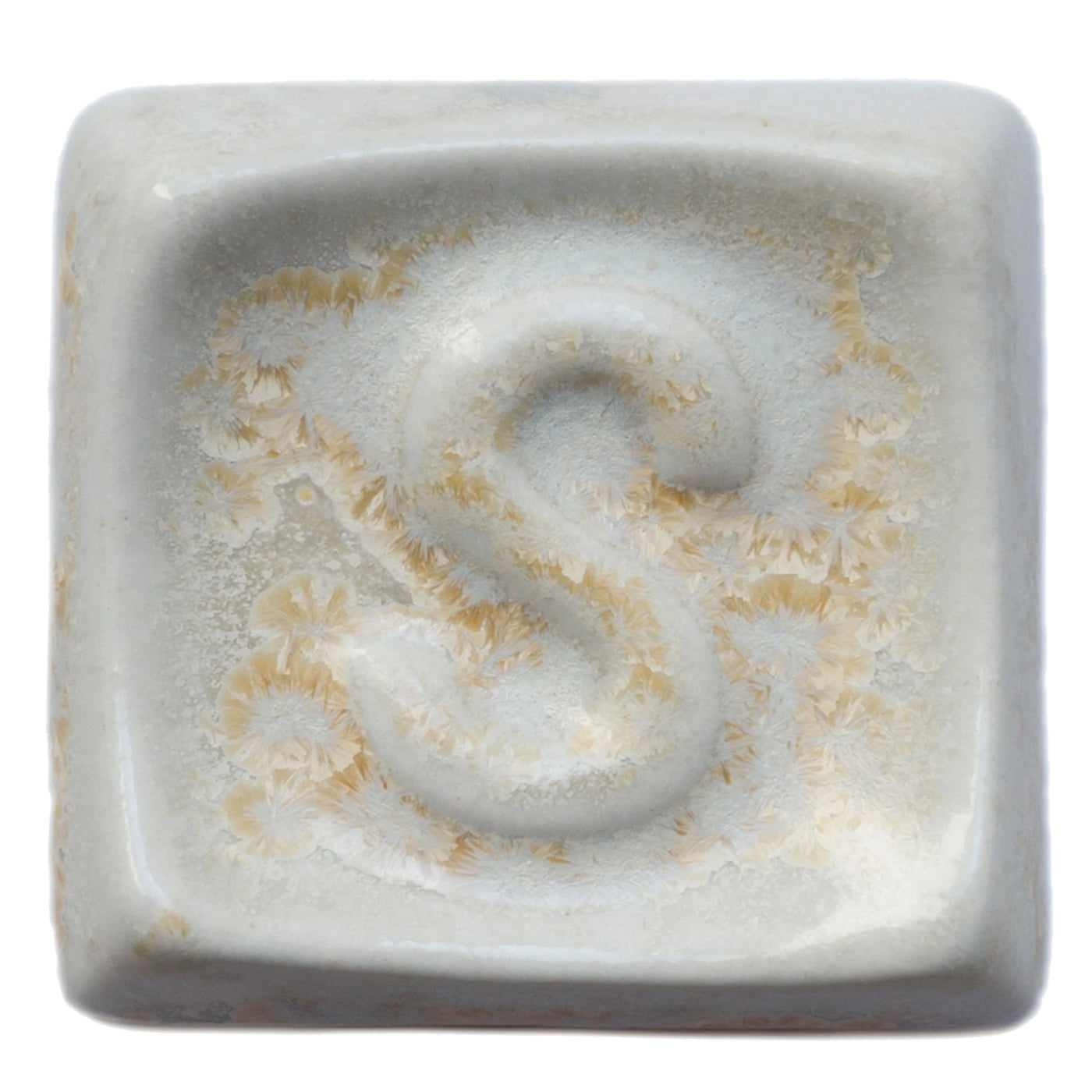 Lily SP 1554